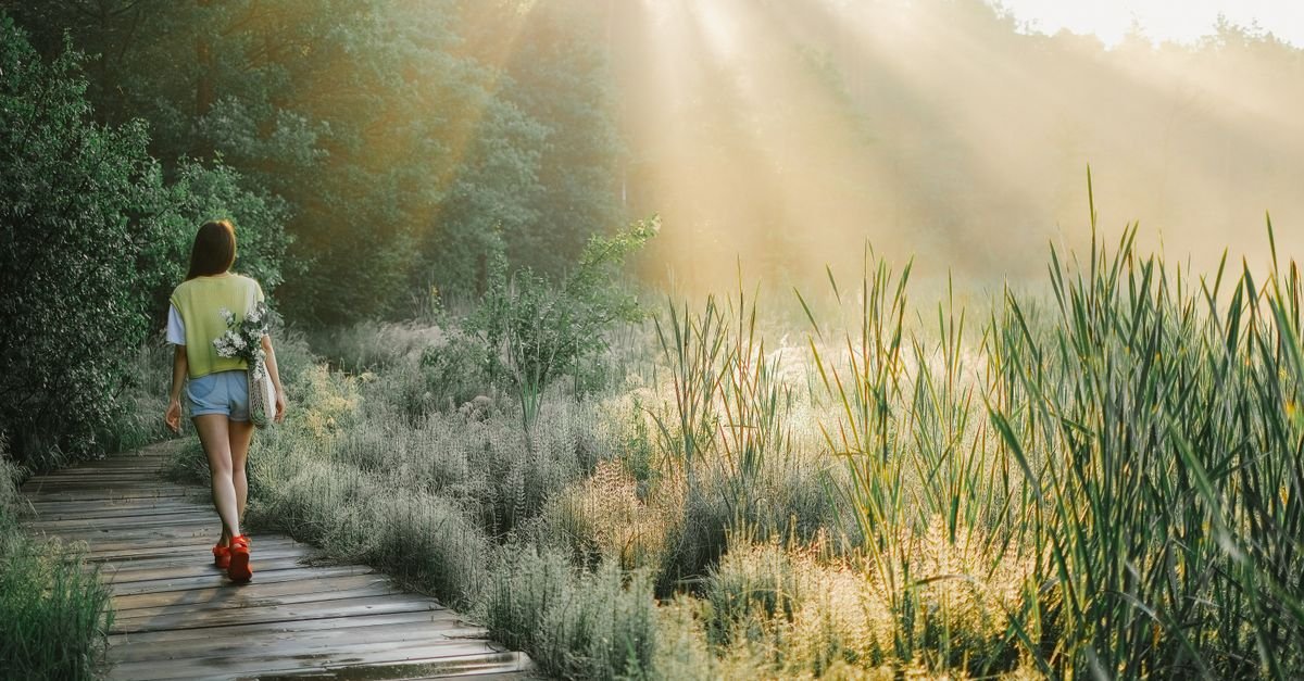 Woman walking on a sunlit forest path in the morning